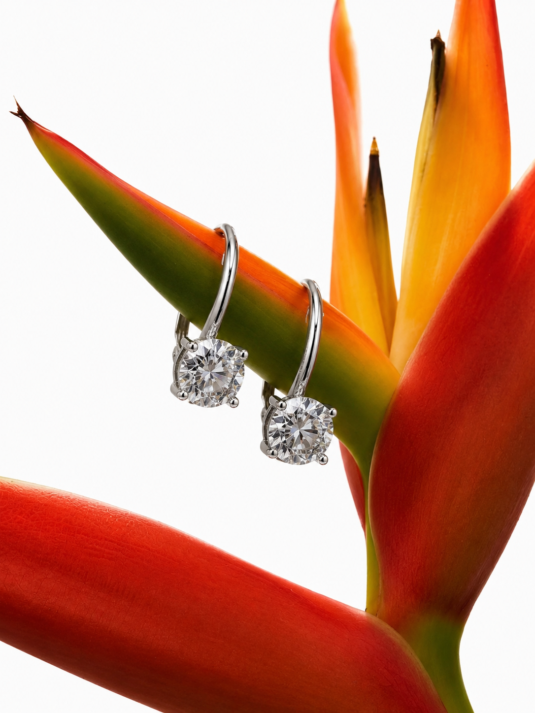 Round Dangle Hoop Earrings