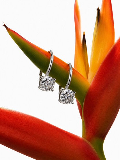 Round Dangle Hoop Earrings