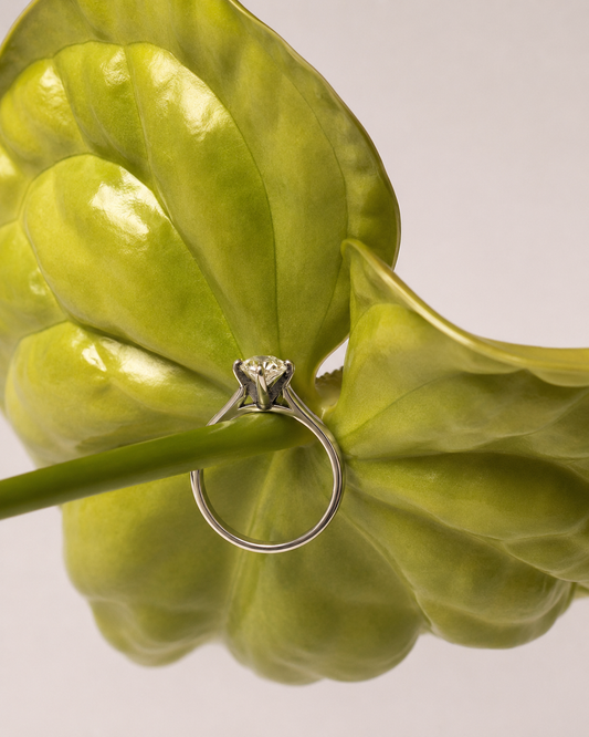 Round Majesty Window Ring