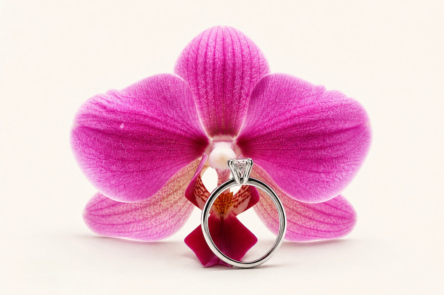 Round Majesty Ring