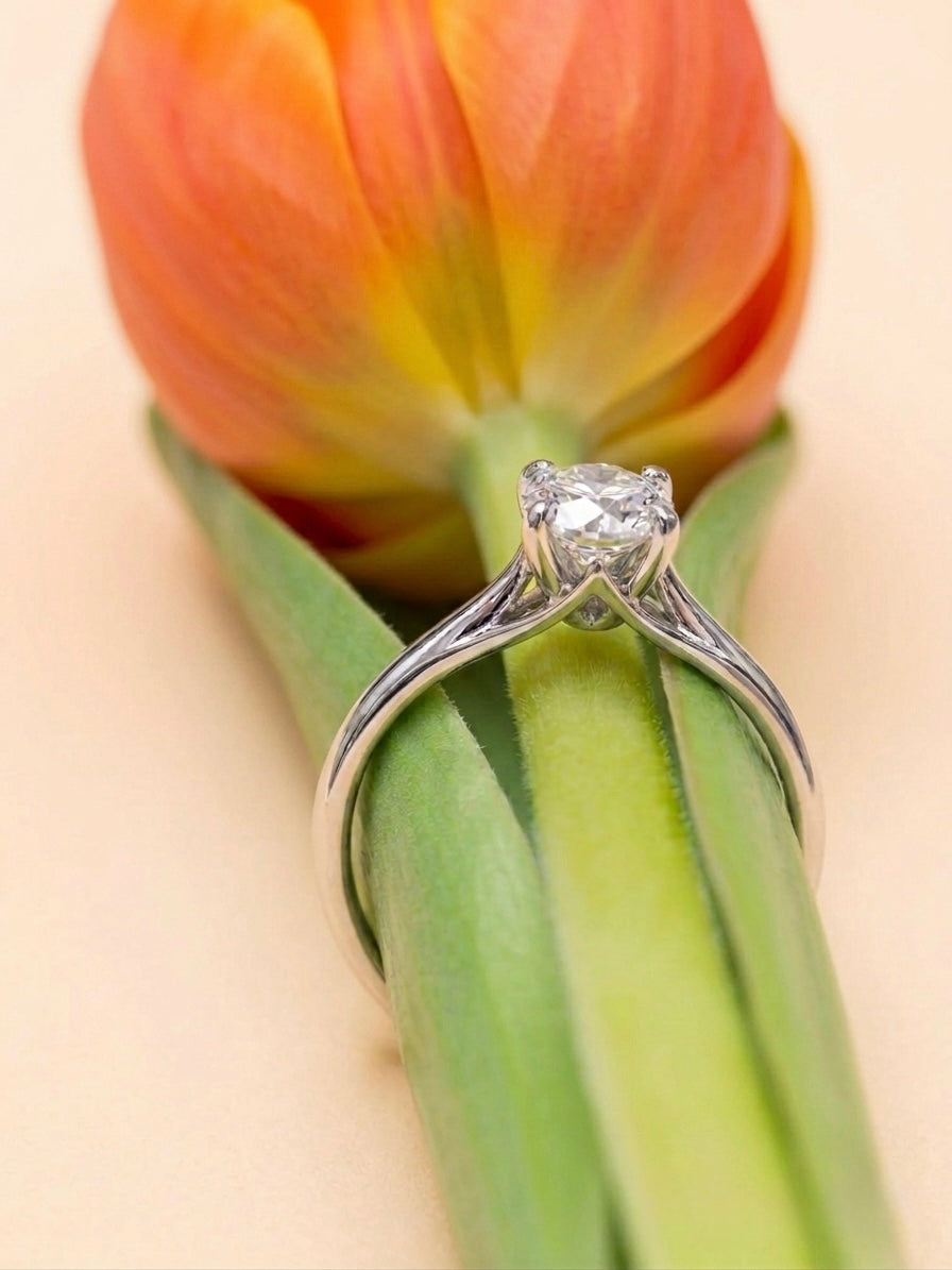 Round Double Band Ring